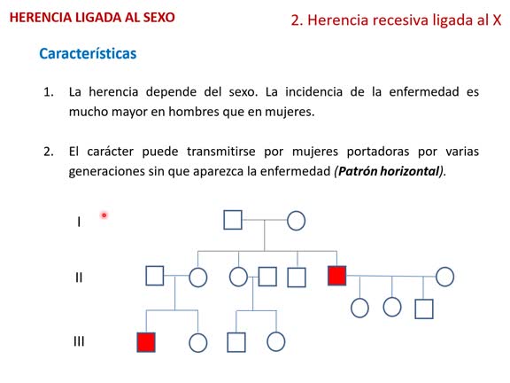 Tema 18 Herencia ligada a cromosomas sexuales 24-25