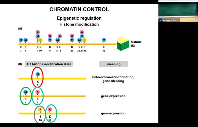 GMT20241203-070417_Recording_1600x1024